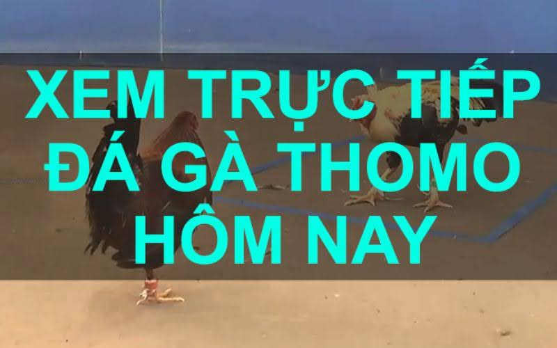 da-ga-cua-sat-thomo-hom-nay