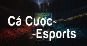 ca-cuoc-the-thao-truc-tuyen-voi-138bet