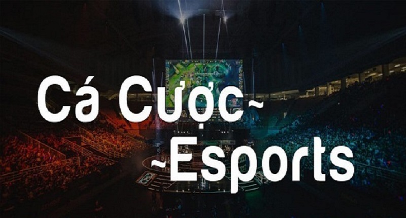 ca-cuoc-the-thao-truc-tuyen-voi-138bet