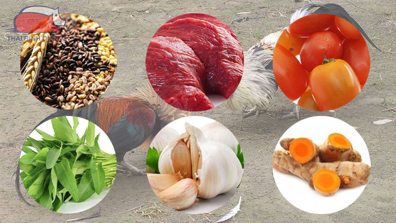 cach-nuoi-ga-chuan-bi-da