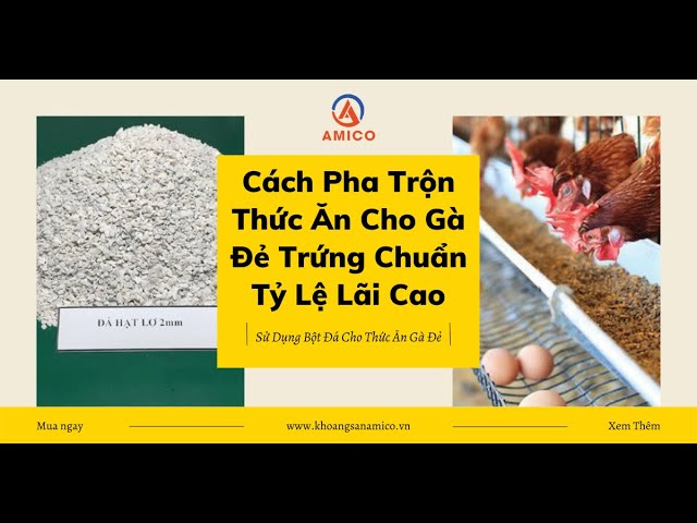 cach-pha-tron-thuc-an-cho-ga-da